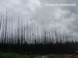 Impacto ambiental 