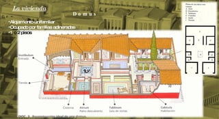 La vivienda D o m u s Alojamiento unifamiliar Ocupado por familias adineradas 1  o 2 pisos 