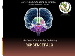 Universidad Autónoma de Sinaloa
Facultad de Medicina Culiacán

Univ. Fonseca Quiroz Kathya Denisse III-5

ROMBENCÉFALO

 