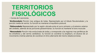 TERRITORIOS
FISIOLÓGICOS
◦ Consta de 3 porciones.
*Archicerebelo: Porción mas antigua de todas. Representado por el lóbulo floculonodular y la
porción media de vermis. Su función es mantener el equilibrio postural.
*Paliocerebelo: Representado por la región ubicada entre el surco primario y el extremo anterior
del cerebelo, además de las porciones paravermianas. Su función es mantener el tono muscular.
*Neocerebelo: Porción más evolucinada de todas y corresponde a las regiones mas periféricas de
los emisferios y del vermis cerebeloso. Su función es coordinar la amplitud y el alcance de un
movimiento (metría) además de coordinar el ritmo alternante del mismo (diadococinesia).
 