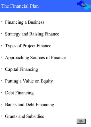 The Financial Plan Financing a Business  Strategy and Raising Finance Types of Project Finance Approaching Sources of Finance Capital Financing Putting a Value on Equity Debt Financing Banks and Debt Financing Grants and Subsidies 