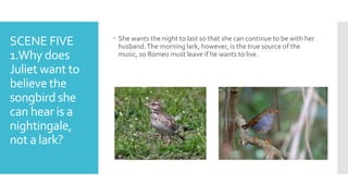 SCENE FIVE
1.Why does
Juliet want to
believe the
songbird she
can hear is a
nightingale,
not a lark?
 She wants the night to last so that she can continue to be with her
husband.The morning lark, however, is the true source of the
music, so Romeo must leave if he wants to live.
 