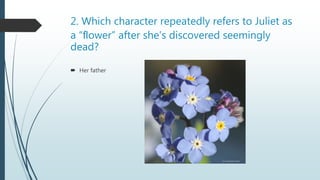 2. Which character repeatedly refers to Juliet as
a “ﬂower” after she’s discovered seemingly
dead?
 Her father
 