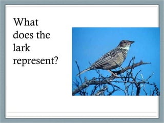 What does the lark represent? 