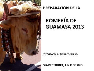 PREPARACIÓN DE LA
ROMERÍA DE
GUAMASA 2013
FOTÓGRAFO: A. ÁLVAREZ CALERO
ISLA DE TENERIFE, JUNIO DE 2013
 