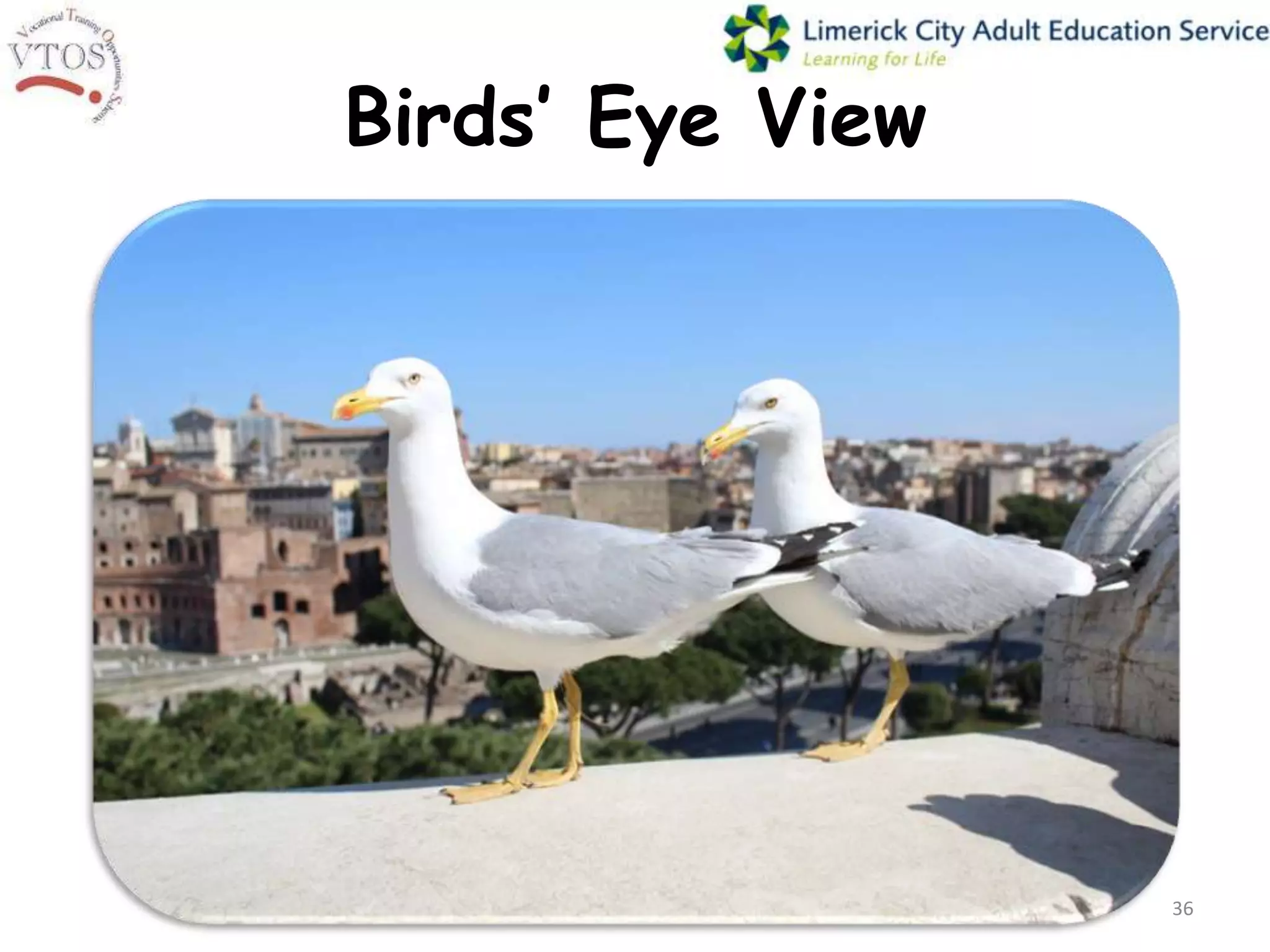 Birds’ Eye View




                  36
 