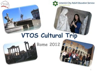 VTOS Cultural Trip
     Rome 2012




                     1
 