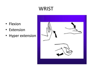 WRIST
• Flexion
• Extension
• Hyper extension
 