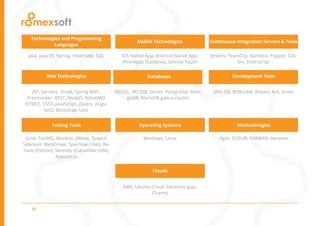 12
Java, Java EE, Spring, Hibernate, SQL
		
Technologies and Programming
Languages
Testing Tools
jUnit, TestNG, Mockito, jMeter, SoapUI
Selenium WebDriver, Specflow (.Net), Be-
have (Python), Serenity (Cucumber-JVM),
Appium.io
iOS Native App, Android Native App,
Phonegap (Cordova), Sencha Touch
Mobile Technologies
Operating Systems
Windows, Linux
Jenkins, TeamCity, Bamboo, Puppet, Zab-
bix, Shell script
Continuous Integration Servers & Tools
Methodologies
Agile, SCRUM, KANBAN, Iterative
Web Technologies
JSP, Servlets, Struts, Spring MVC,
Freemarker, REST, NodeJS, ActiveMQ
HTML5, CSS3, JavaScript, jQuery, Angu-
larJS, Bootstrap, Less
Databases
MySQL, MS SQL Server, PostgreSql, Mon-
goDB, MariaDB galera cluster
Clouds
AWS, Ubuntu Cloud Solutions (Juju,
Charm)
Development Tools
JIRA, Git, BitBucket, Maven, Ant, Sonar
		
 