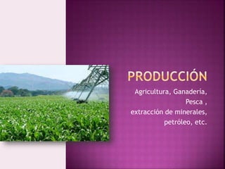 Agricultura, Ganadería,
Pesca ,
extracción de minerales,
petróleo, etc.
 