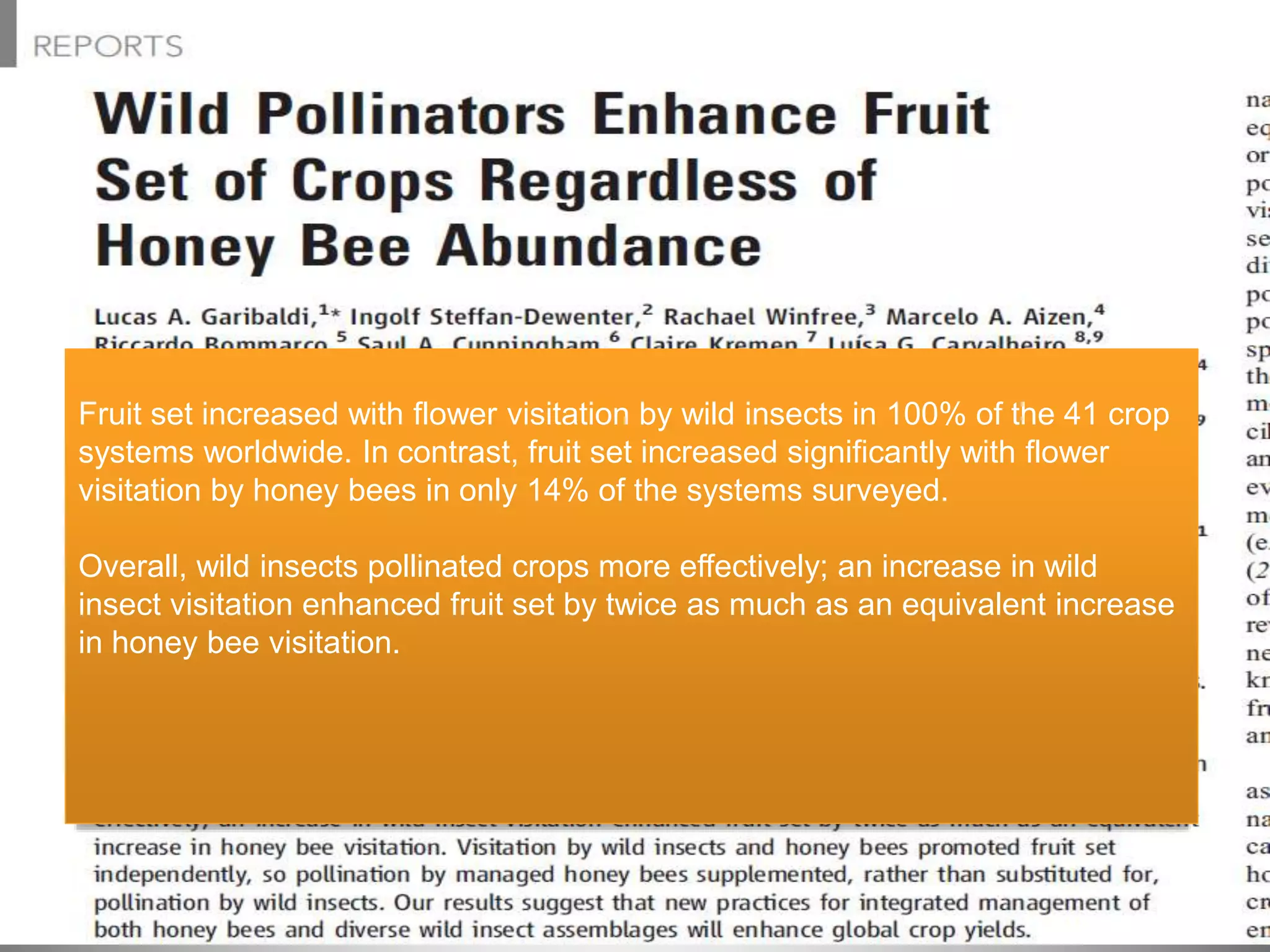 Insect pollinators and Mango flowers - Presentation from the Darwin ...
