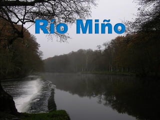 RÍO MIÑO
(Adela Leiro, Mon Daporta)
 