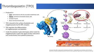 Romiplostim other indications.pptx