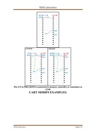 Prg Lab Rom laboratory | PDF