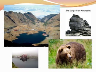 The Carpathian Mountains
 