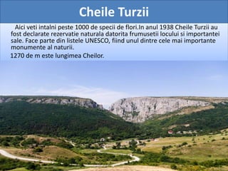 Cheile Turzii
Aici veti intalni peste 1000 de specii de flori.In anul 1938 Cheile Turzii au
fost declarate rezervatie naturala datorita frumusetii locului si importantei
sale. Face parte din listele UNESCO, fiind unul dintre cele mai importante
monumente al naturii.
1270 de m este lungimea Cheilor.
 