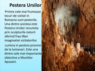Printre cele mai frumoase
locuri de vizitat in
Romania sunt pesterile.
Una dintre acestea este
Pestera Ursilor renumita
prin sculpturile naturii
oferind frau liber
imaginatiei vizitatorilor.
Lumina in pestera provine
de la lumanari. Este una
dintre cele mai importante
obiective a Muntilor
Apuseni.
Pestera Ursilor
 