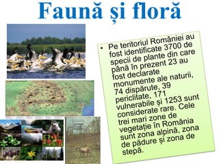 Faună și floră
 