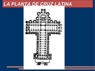 LA PLANTA DE CRUZ LATINA
 