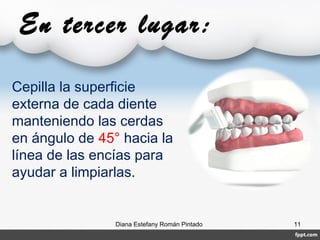 En tercer lugar:
Diana Estefany Román Pintado 11
Cepilla la superficie
externa de cada diente
manteniendo las cerdas
en ángulo de 45° hacia la
línea de las encías para
ayudar a limpiarlas.
 