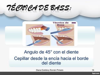 Diana Estefany Román Pintado 16
 