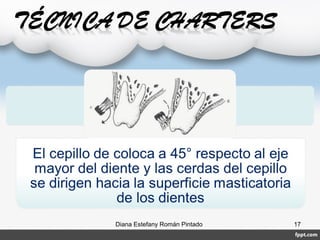 Diana Estefany Román Pintado 17
 