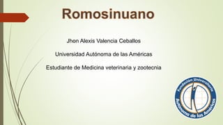 Jhon Alexis Valencia Ceballos
Universidad Autónoma de las Américas
Estudiante de Medicina veterinaria y zootecnia
 