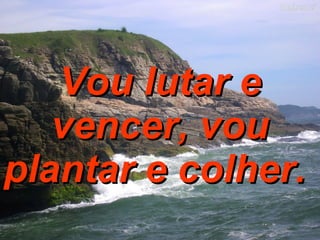 Vou lutar e vencer, vou plantar e colher.   