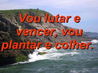 Vou lutar e vencer, vou plantar e colher.   
