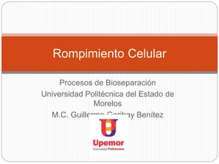 Procesos de Bioseparación
Universidad Politécnica del Estado de
Morelos
M.C. Guillermo Garibay Benítez
Rompimiento Celular
 