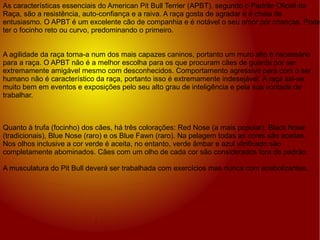 As características essenciais do American Pit Bull Terrier (APBT), segundo o Padrão Oficial da Raça, são a resistência, auto-confiança e a raiva. A raça gosta de agradar e é cheia de entusiasmo. O APBT é um excelente cão de companhia e é notável o seu amor por crianças. Pode ter o focinho reto ou curvo, predominando o primeiro. A agilidade da raça torna-a num dos mais capazes caninos, portanto um muro alto é necessário para a raça. O APBT não é a melhor escolha para os que procuram cães de guarda por ser extremamente amigável mesmo com desconhecidos. Comportamento agressivo para com o ser humano não é característico da raça, portanto isso é extremamente indesejável. A raça sai-se muito bem em eventos e exposições pelo seu alto grau de inteligência e pela sua vontade de trabalhar. Quanto à trufa (focinho) dos cães, há três colorações: Red Nose (a mais popular), Black Nose (tradicionais), Blue Nose (raro) e os Blue Fawn (raro). Na pelagem todas as cores são aceitas. Nos olhos inclusive a cor verde é aceita, no entanto, verde âmbar e azul vitrificado são completamente abominados. Cães com um olho de cada cor são considerados fora de padrão. A musculatura do Pit Bull deverá ser trabalhada com exercícios mas nunca com anabolizantes. 