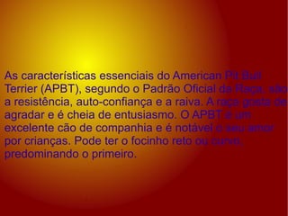As características essenciais do American Pit Bull Terrier (APBT), segundo o Padrão Oficial da Raça, são a resistência, auto-confiança e a raiva. A raça gosta de agradar e é cheia de entusiasmo. O APBT é um excelente cão de companhia e é notável o seu amor por crianças. Pode ter o focinho reto ou curvo, predominando o primeiro. 