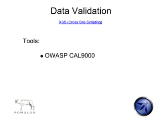 Data Validation
            XSS (Cross Site Scripting)




Tools:

         OWASP CAL9000
 