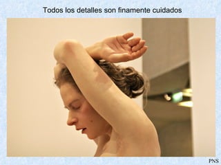 Todos los detalles son finamente cuidados