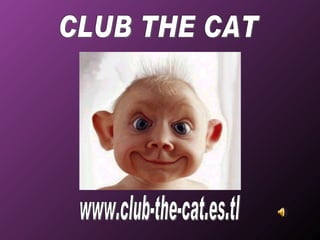 www.club-the-cat.es.tl CLUB THE CAT 