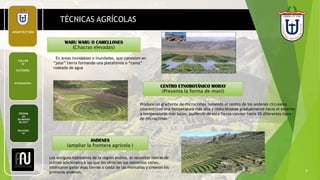 FECHA
28
DE MARZO
DE 2017
SECCION:
“A”
ARQUITECTURA
TALLER
IV
CATEDRA:
NTEGRANTES:
6
TÉCNICAS AGRÍCOLAS
WARU WARU O CAMELLONES
(Chacras elevadas)
CENTRO ETNOBOTÁNICO MORAY
(Presenta la forma de maní)
ANDENES
(ampliar la frontera agrícola )
En áreas inundables o inundadas, que consisten en
“jalar” tierra formando una plataforma o “cama”
rodeada de agua
Produce un gradiente de microclimas teniendo el centro de los andenes circulares
concéntricos una temperatura más alta y reduciéndose gradualmente hacia el exterior
a temperaturas más bajas, pudiendo de esta forma simular hasta 20 diferentes tipos
de microclimas
Los antiguos habitantes de la región andina, al necesitar tierras de
cultivo adicionales a las que les ofrecían sus estrechos valles,
intentaron ganar esas tierras a costa de las montañas y crearon los
primeros andenes.
 