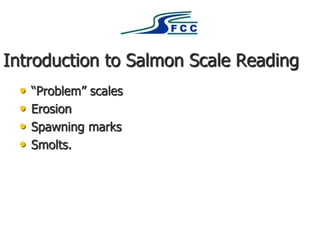 Introduction to Salmon Scale Reading
• “Problem” scales
• Erosion
• Spawning marks
• Smolts.
 