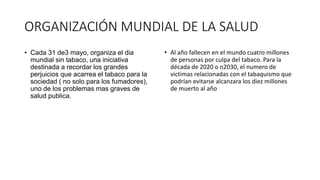 ORGANIZACIÓN MUNDIAL DE LA SALUD
• Cada 31 de3 mayo, organiza el dia
mundial sin tabaco, una iniciativa
destinada a recordar los grandes
perjuicios que acarrea el tabaco para la
sociedad ( no solo para los fumadores),
uno de los problemas mas graves de
salud publica.
• Al año fallecen en el mundo cuatro millones
de personas por culpa del tabaco. Para la
década de 2020 o n2030, el numero de
victimas relacionadas con el tabaquismo que
podrían evitarse alcanzara los diez millones
de muerto al año