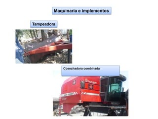 Tampeadora
Maquinaria e implementos
Cosechadora combinada
 