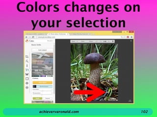 Colors changes on
your selection
achievervaronald.com 102
 