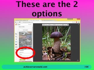 These are the 2
options
achievervaronald.com 106
 