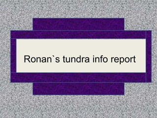 Ronan`s tundra info report
 