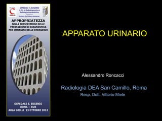 APPARATO URINARIO




       Alessandro Roncacci

Radiologia DEA San Camillo, Roma
       Resp. Dott. Vittorio Miele
 