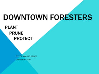 DOWNTOWN   FORESTERS   PLANT   PRUNE    PROTECT CITY OF SAN LUIS OBISPO URBAN FORESTRY 