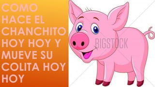 COMO 
HACE EL 
CHANCHITO 
HOY HOY Y 
MUEVE SU 
COLITA HOY 
HOY 
 