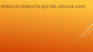 SEMILLITA SEMILLITA QUE DEL CIELO SE CAYO 
 