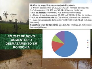 RONDÔNIA 2011-2012
21.153 FAMILIAS ENVOLVIDAS
(17.169 em 2011)
77 ÁREAS DE CONFLITOS
(79 em 2011)
PAF Curuqueté, (Vista
Al...