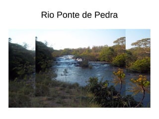 Rio Ponte de Pedra
 