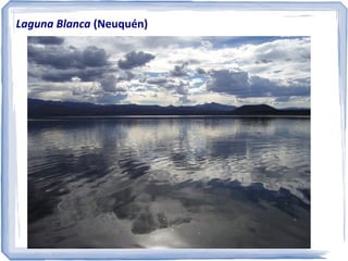 Laguna Blanca (Neuquén)

 