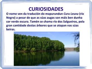 CURIOSIDADES

O nome ven da tradución do mapurundun Curu Leuvu (río
Negro) a pesar de que as súas augas son máis ben dunha
cor verde escura. Tamén se chama río dos Salgueiros, pola
gran cantidade destas árbores que se atopan nas súas
beiras.

 